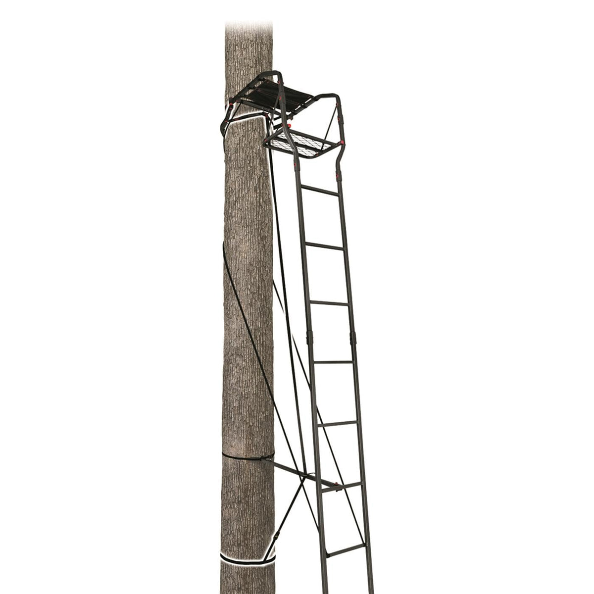 15’ Single Person Ladder Tree Stand V240141