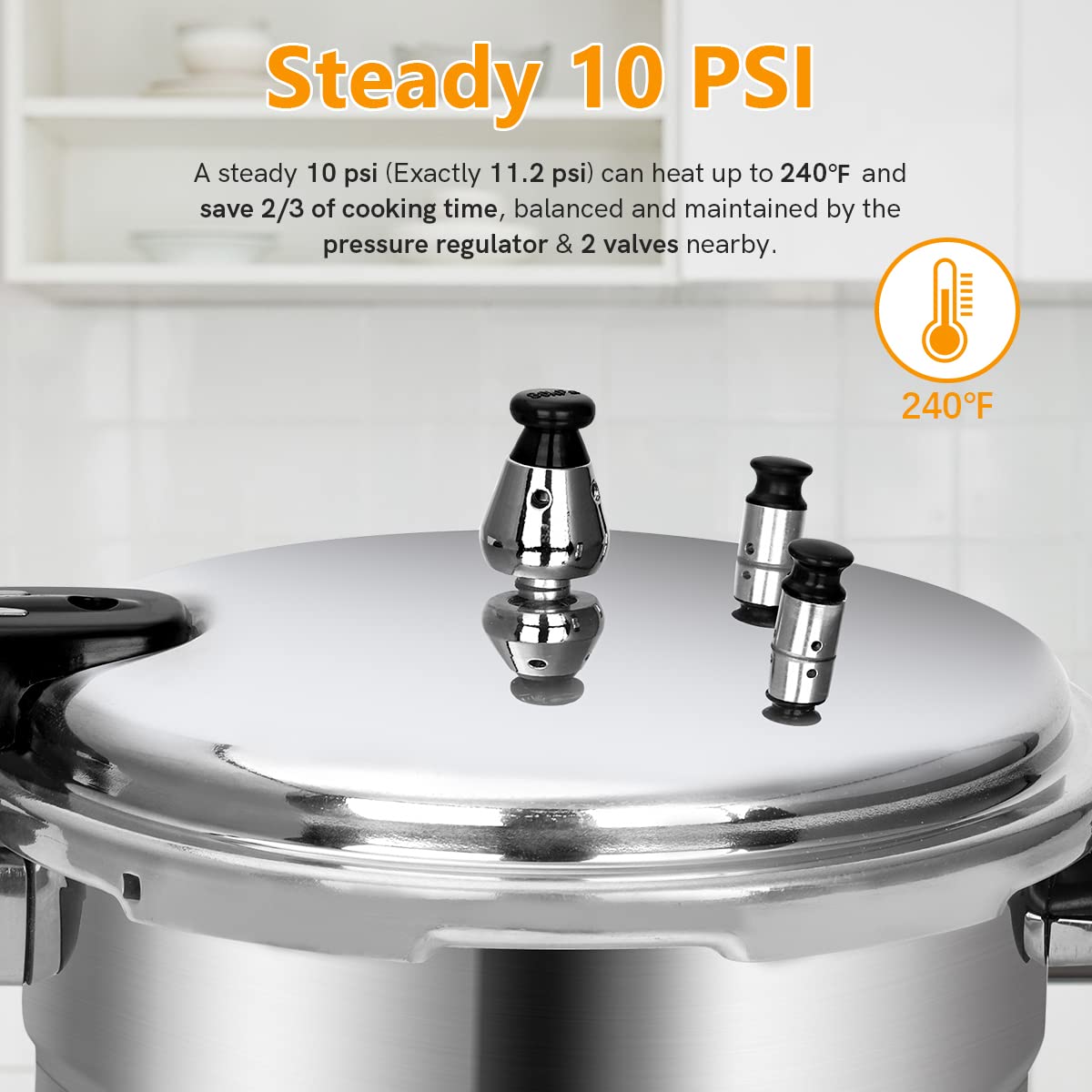 5.3 Qt Aluminum Stovetop Pressure Cooker & Canner R12601