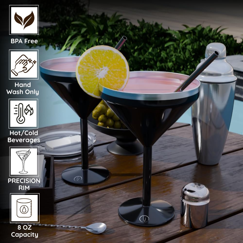 8 oz Stainless Steel Insulated Martini Glass Set of 2 W523