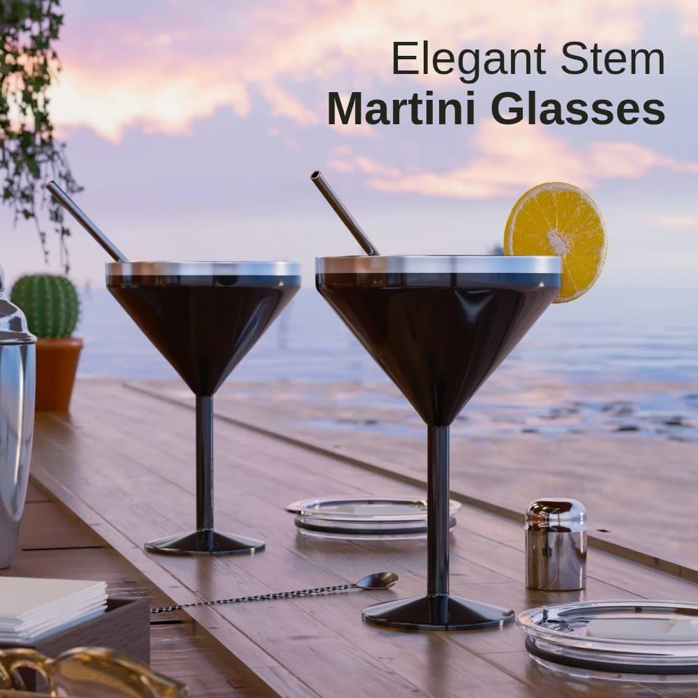 8 oz Stainless Steel Insulated Martini Glass Set of 2 W523