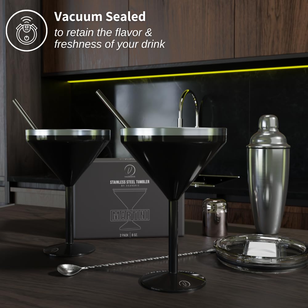 8 oz Stainless Steel Insulated Martini Glass Set of 2 W523