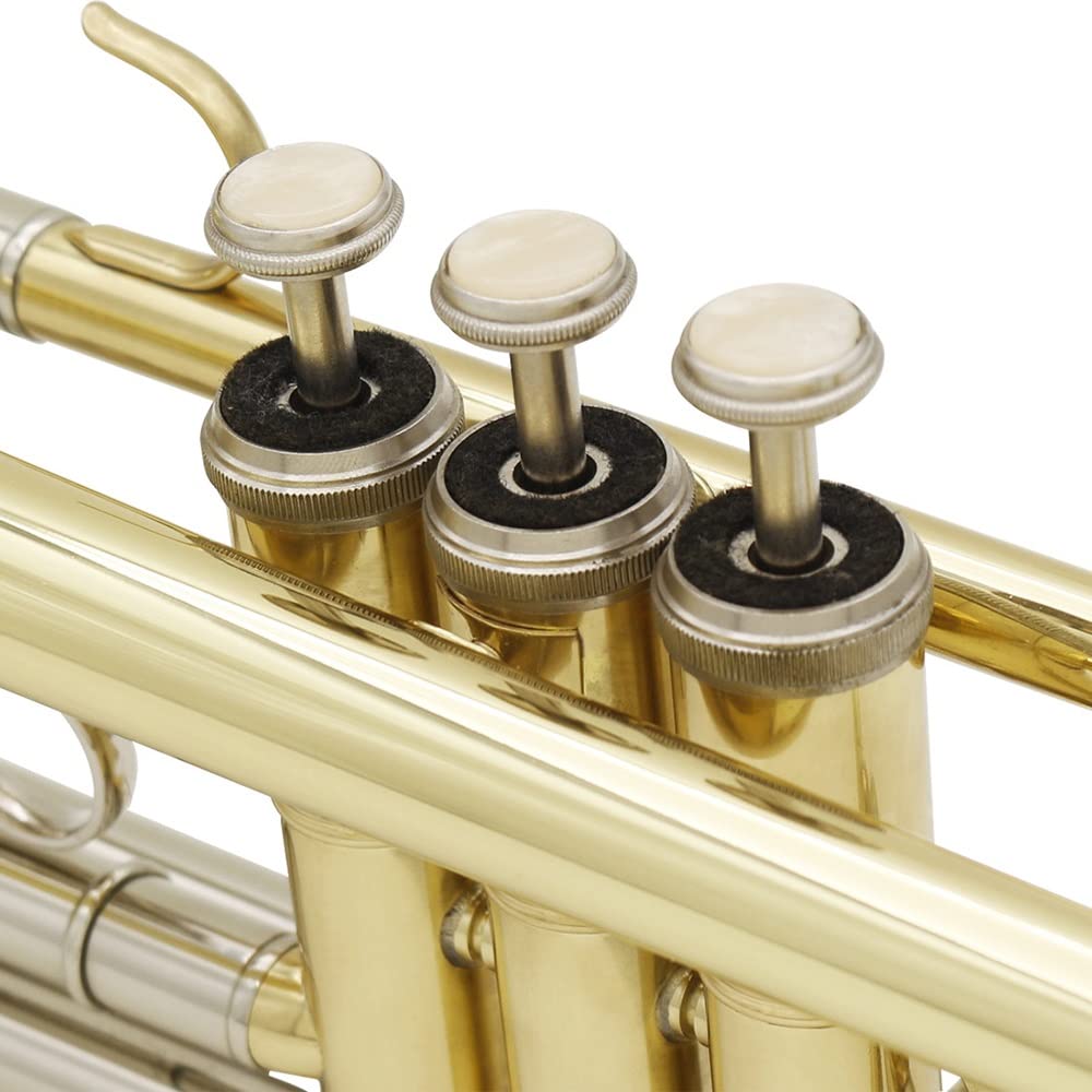 Standard Trumpet with Hard Case and 7C Mouthpiece M577