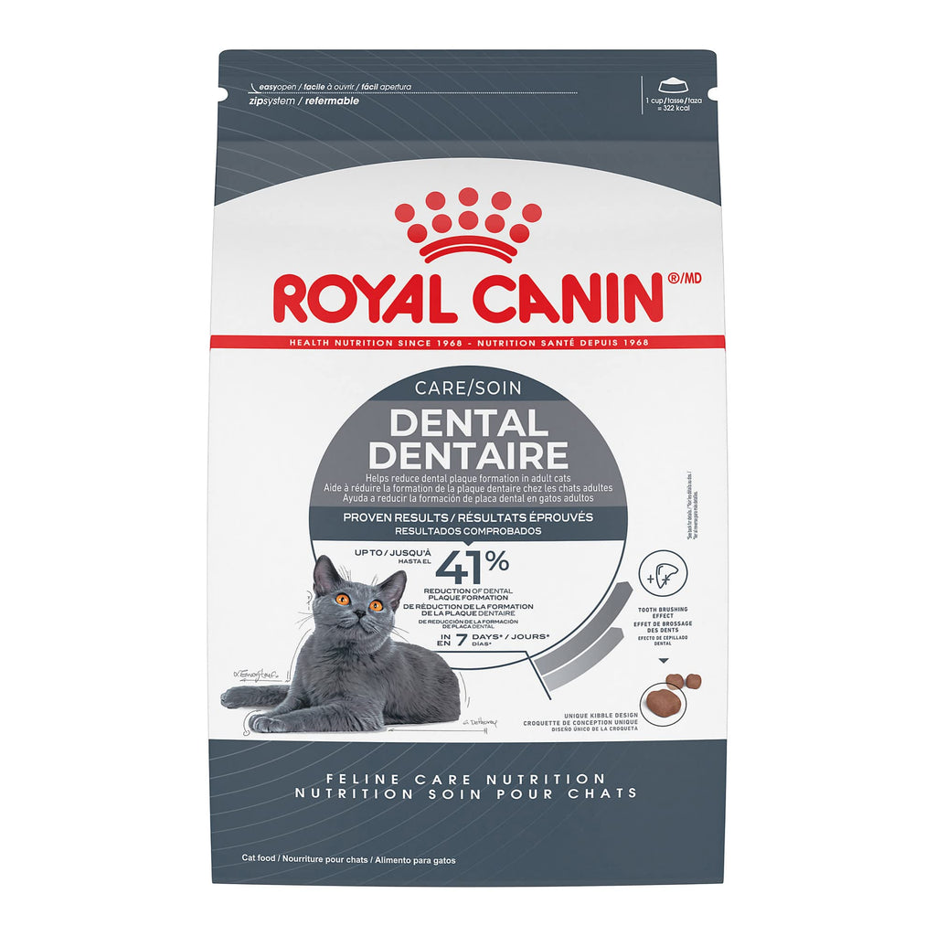 Adult Dry Cat Food 6 lb Bag T4541