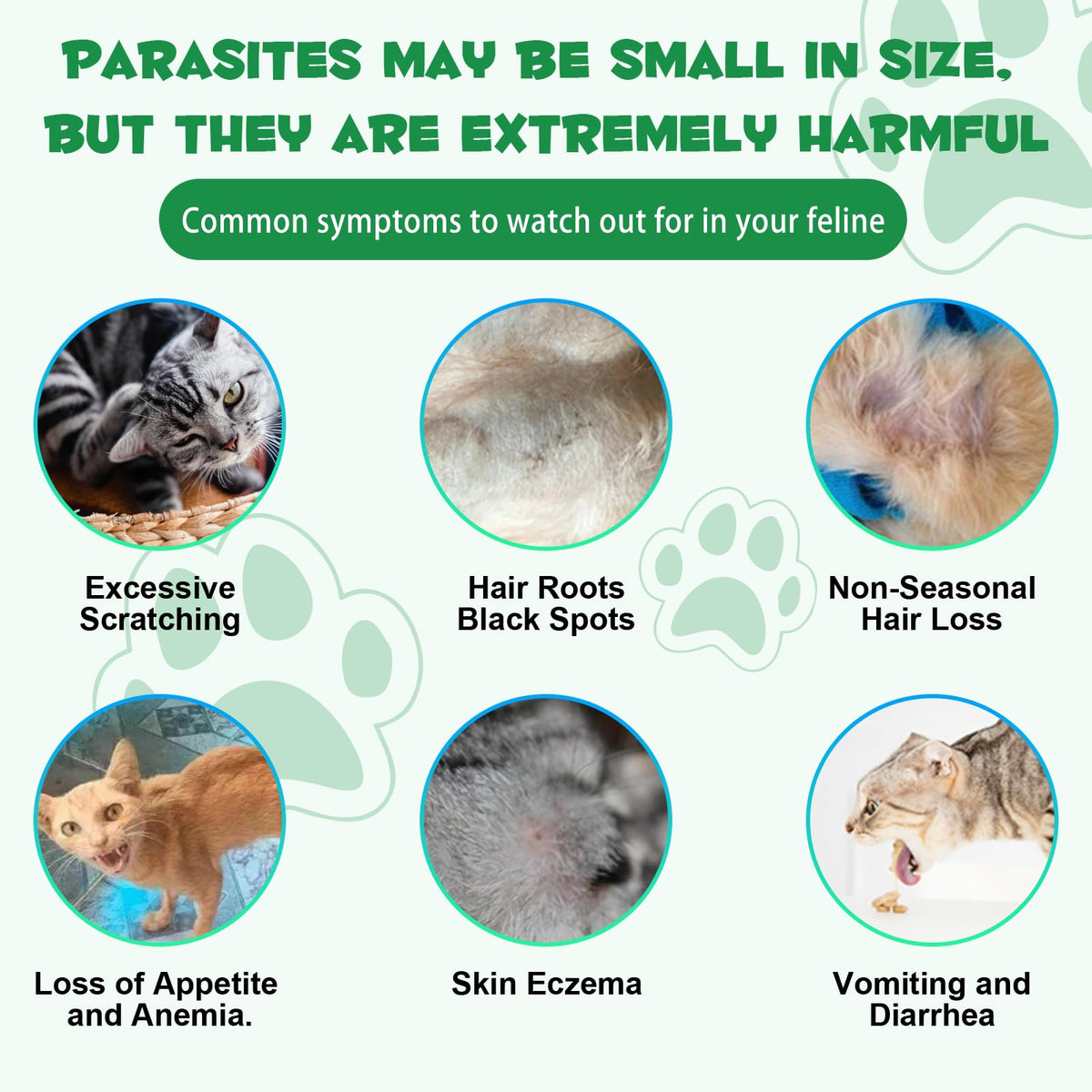 Cat Multivitamin Supplement Drops with Probiotic E44635
