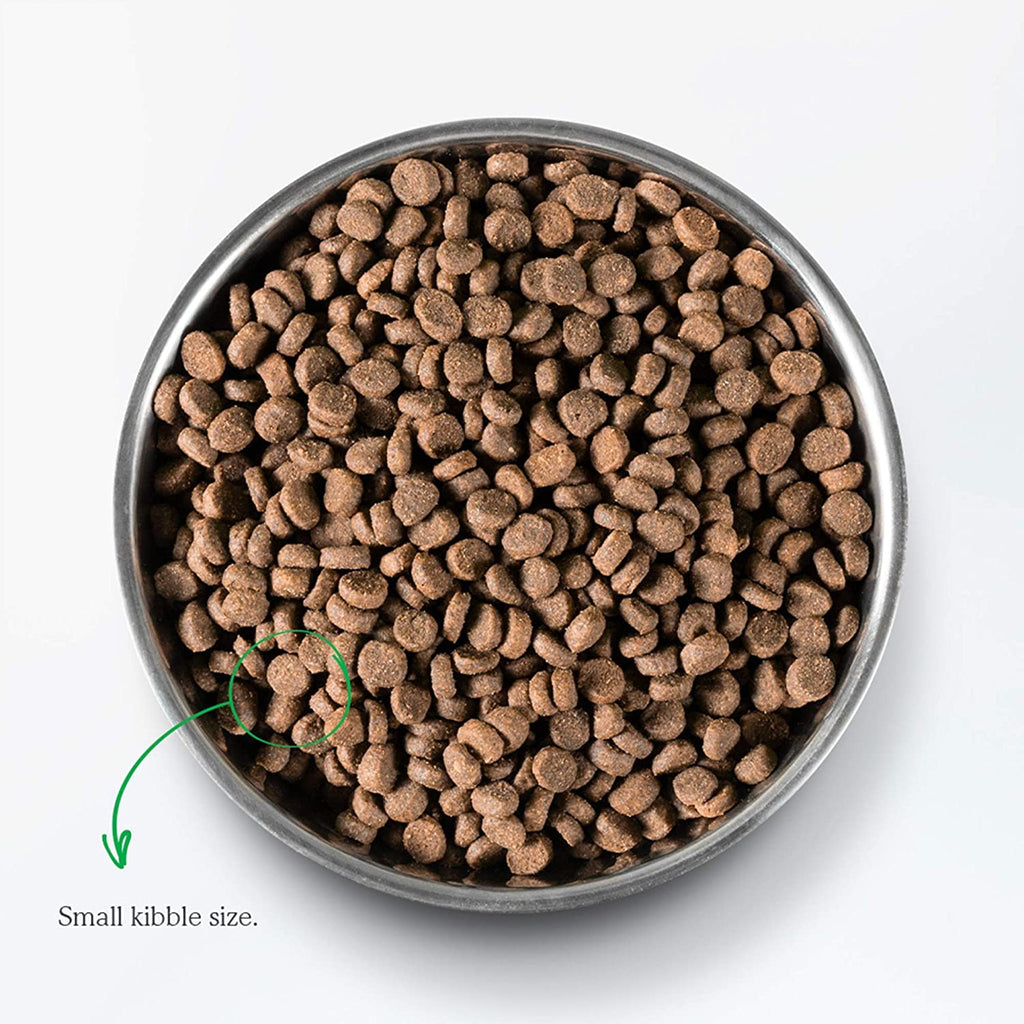 Grain Free Dry Cat Food Whitefish Kibble 2lb Bag C923060