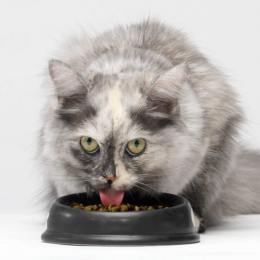 Grain Free Dry Cat Food Whitefish Kibble 2lb Bag C923060