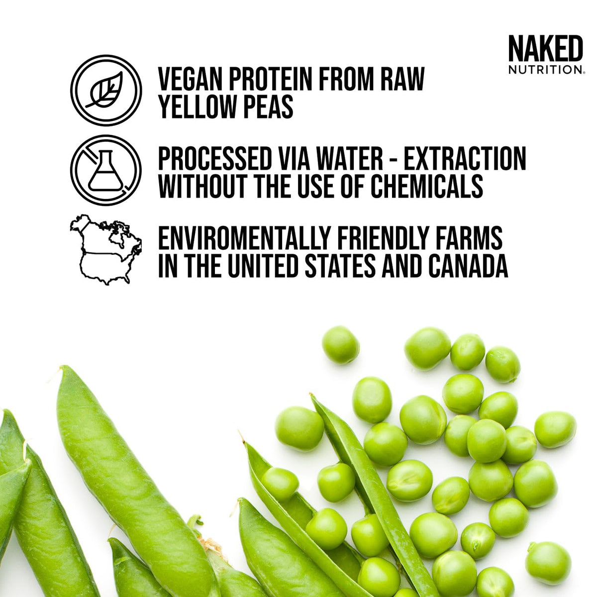 Dairy Free Protein Bundle: 5LB Unflavored Pea and 2LB PB F551005