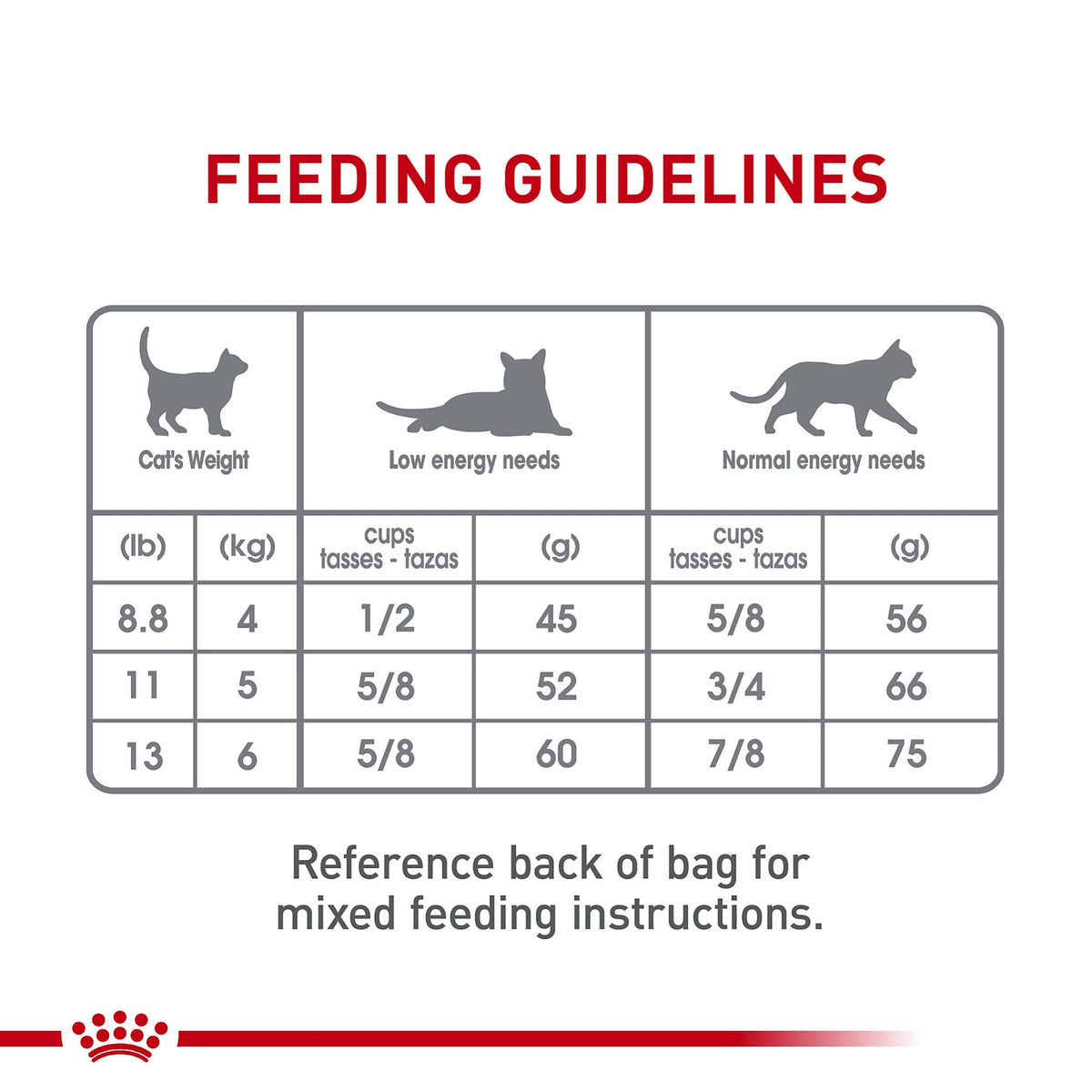 Adult Dry Cat Food 6 lb Bag T4541
