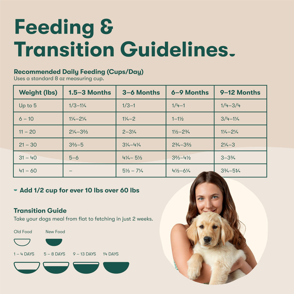 Dry Dog Food Chicken Brown Rice Sweet Potato 4lb W380