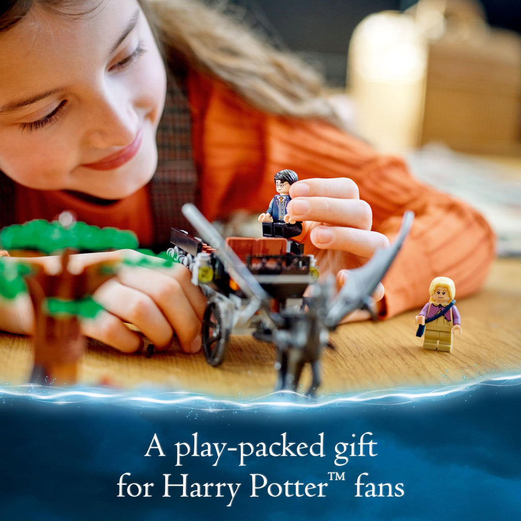 Harry Potter Hogwarts Carriage N430