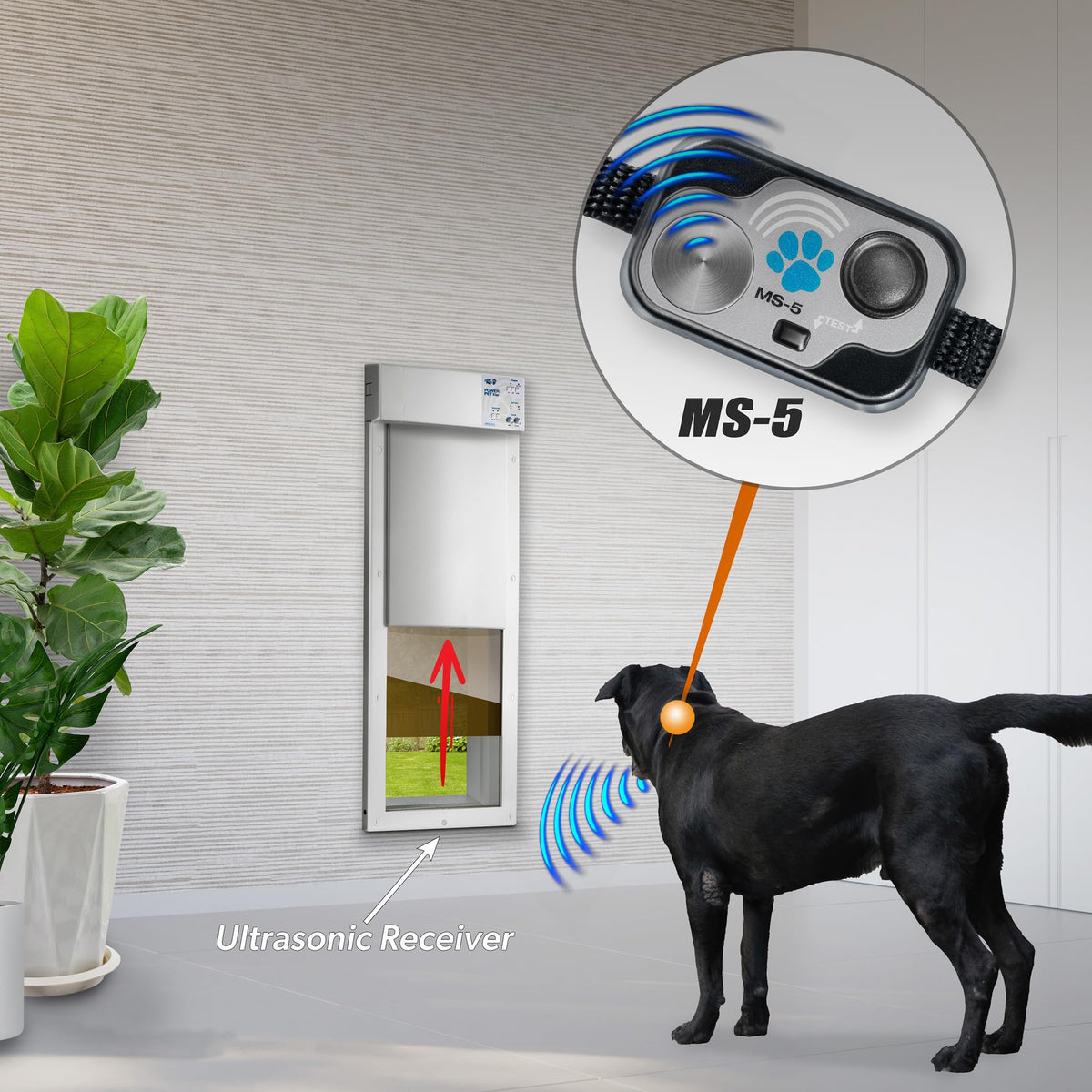 Automatic Smart Pet Door Collar C75778