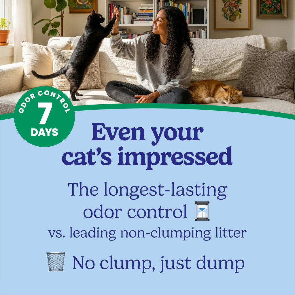 Non-Clumping Cat Litter with Odor Control, 14 lb. Bag W57003