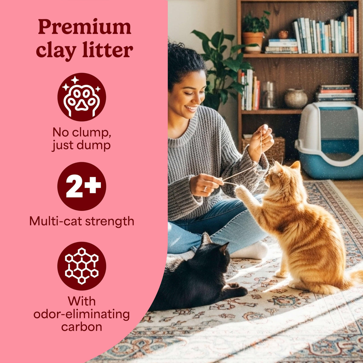 Non-Clumping Cat Litter with Odor Control, 14 lb. Bag W57003