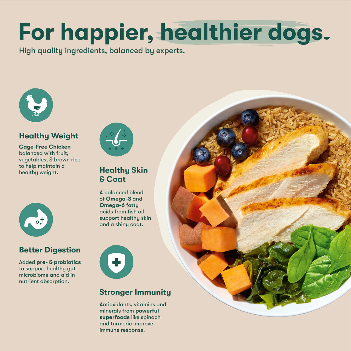 Dry Dog Food Chicken Brown Rice Sweet Potato 4lb W380