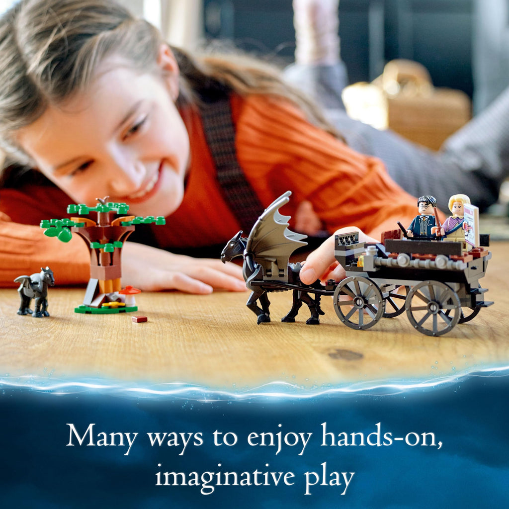 Harry Potter Hogwarts Carriage N430