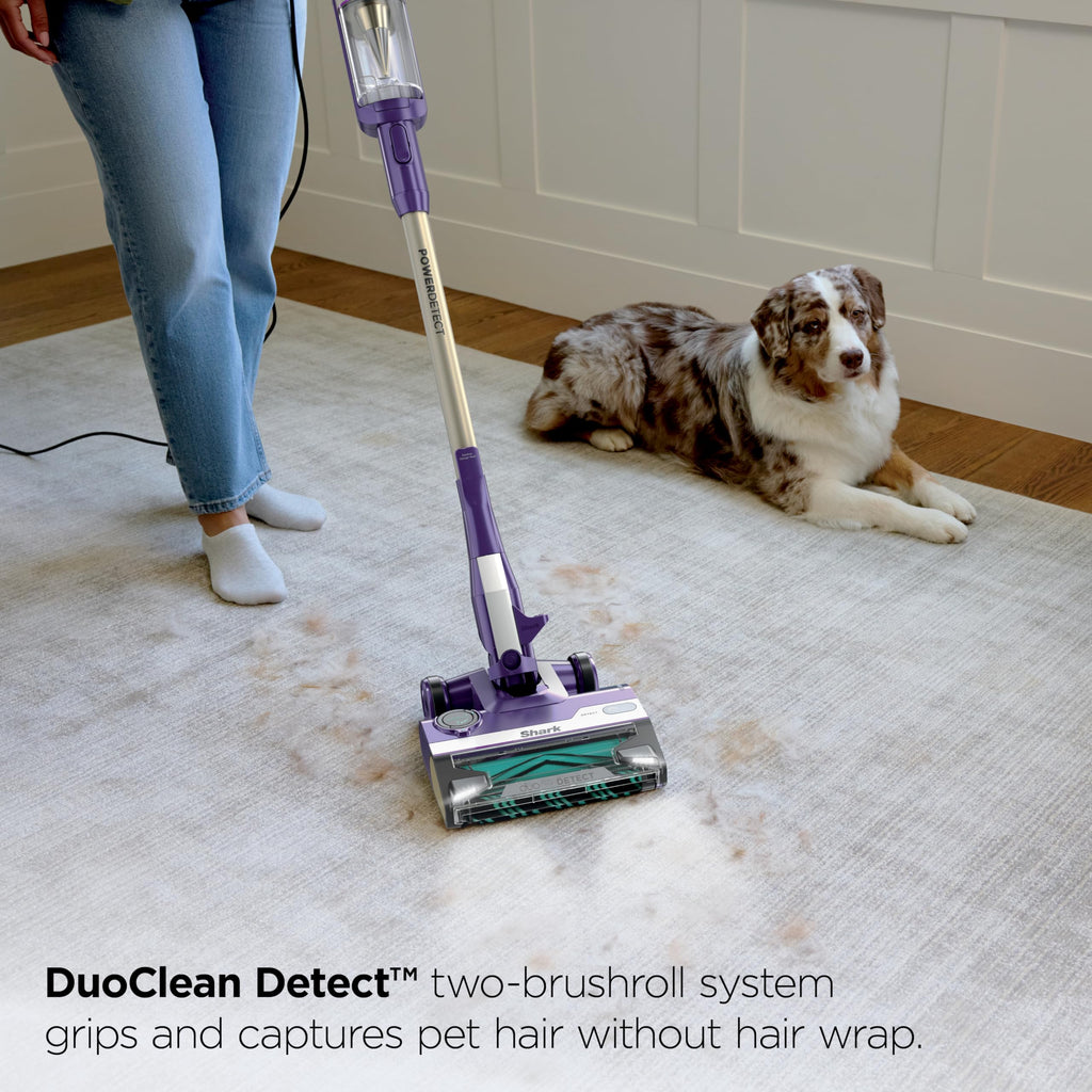 Corded Stick Vacuum H394269