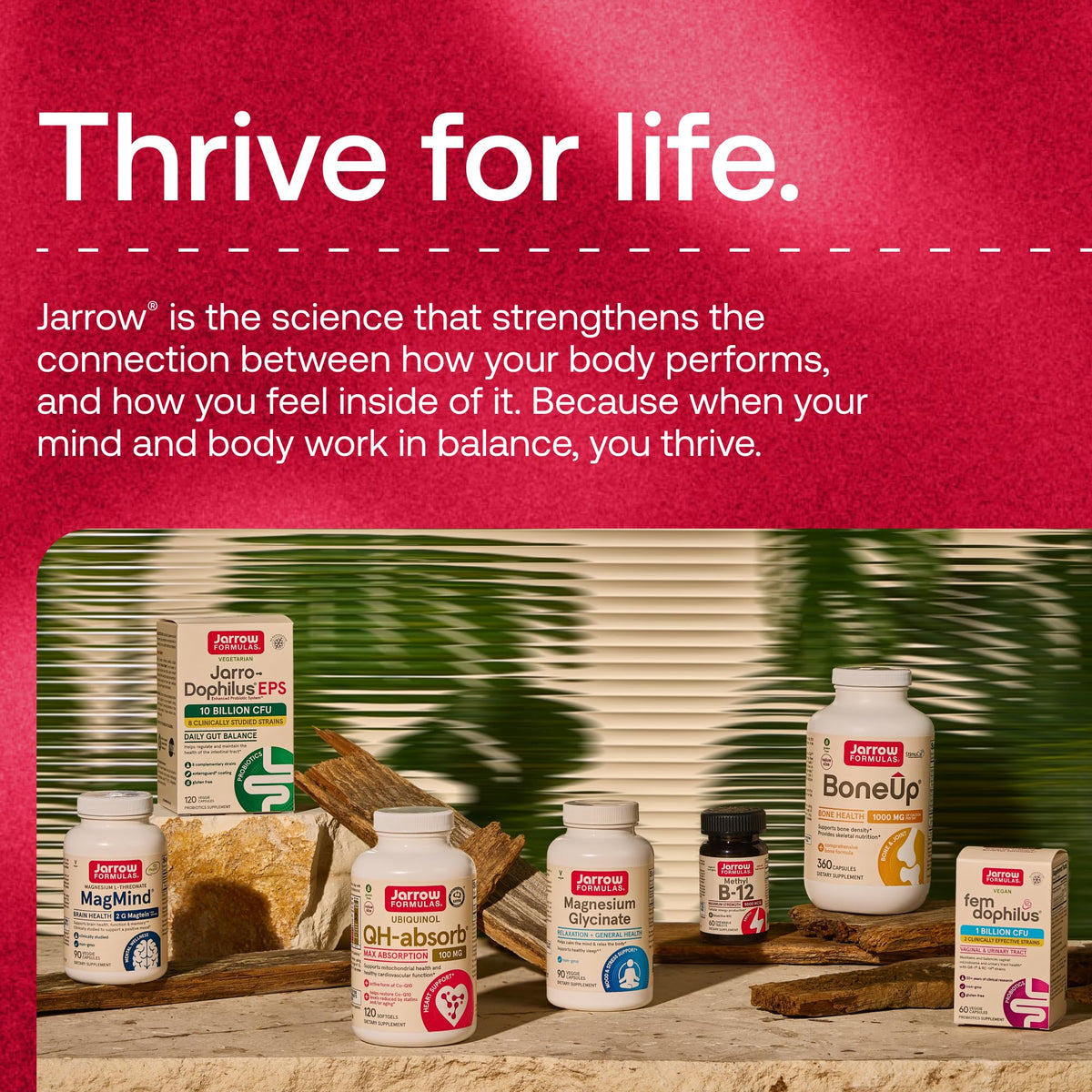 30 Capsules 10 Billion CFU Probiotics Y6688