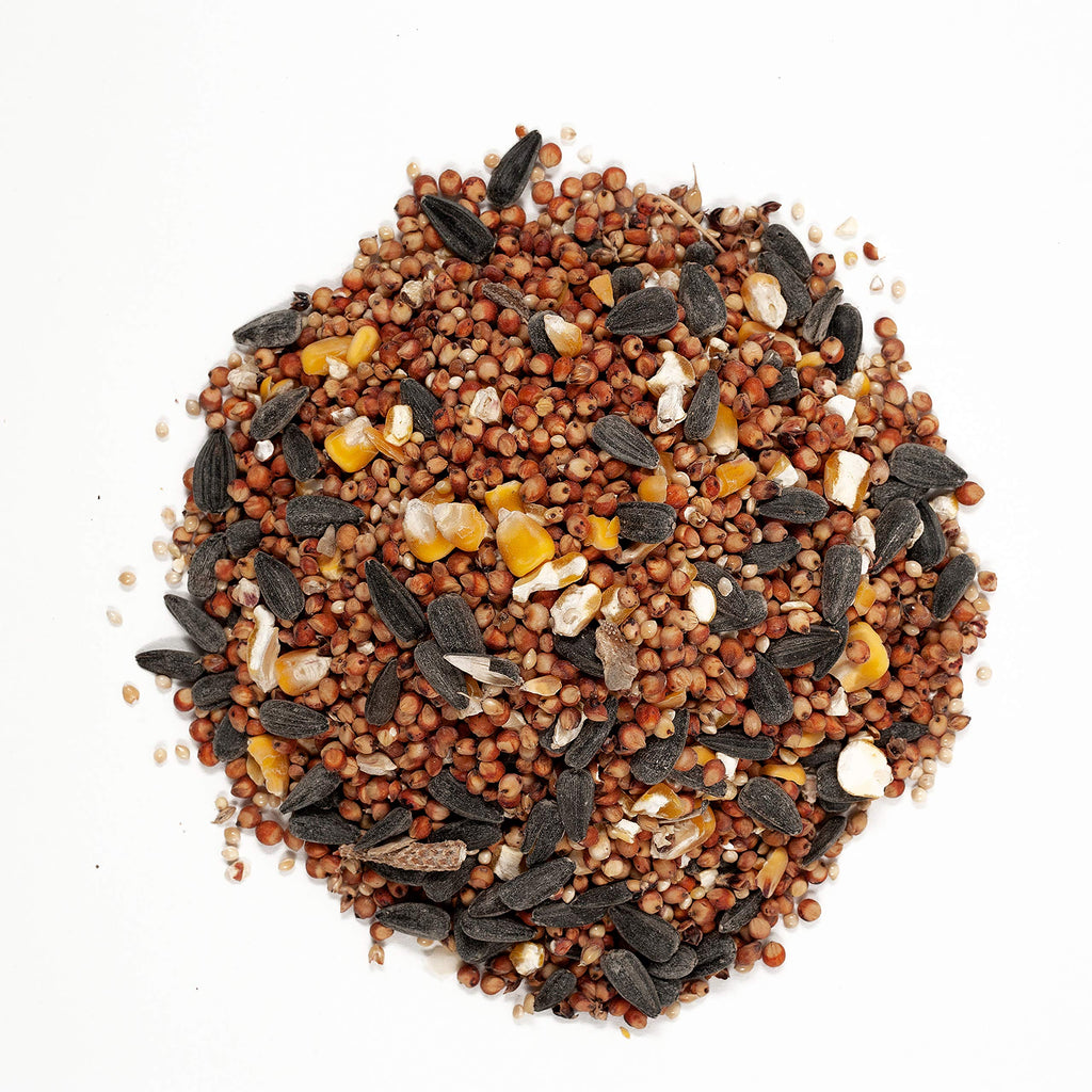 Wild Bird Food and Safflower Seed D52570